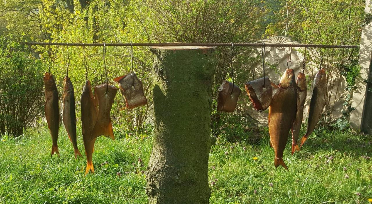 Nadmorskie Slonce Lubin  Buitenkant foto